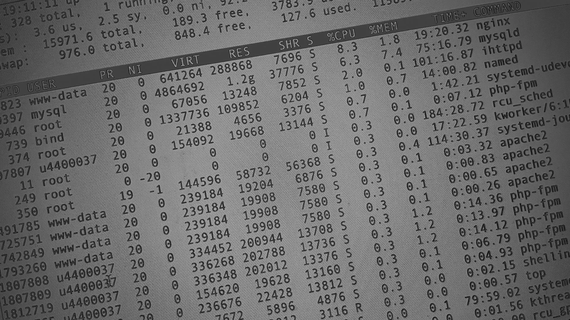 Настройка сервера в Чадане