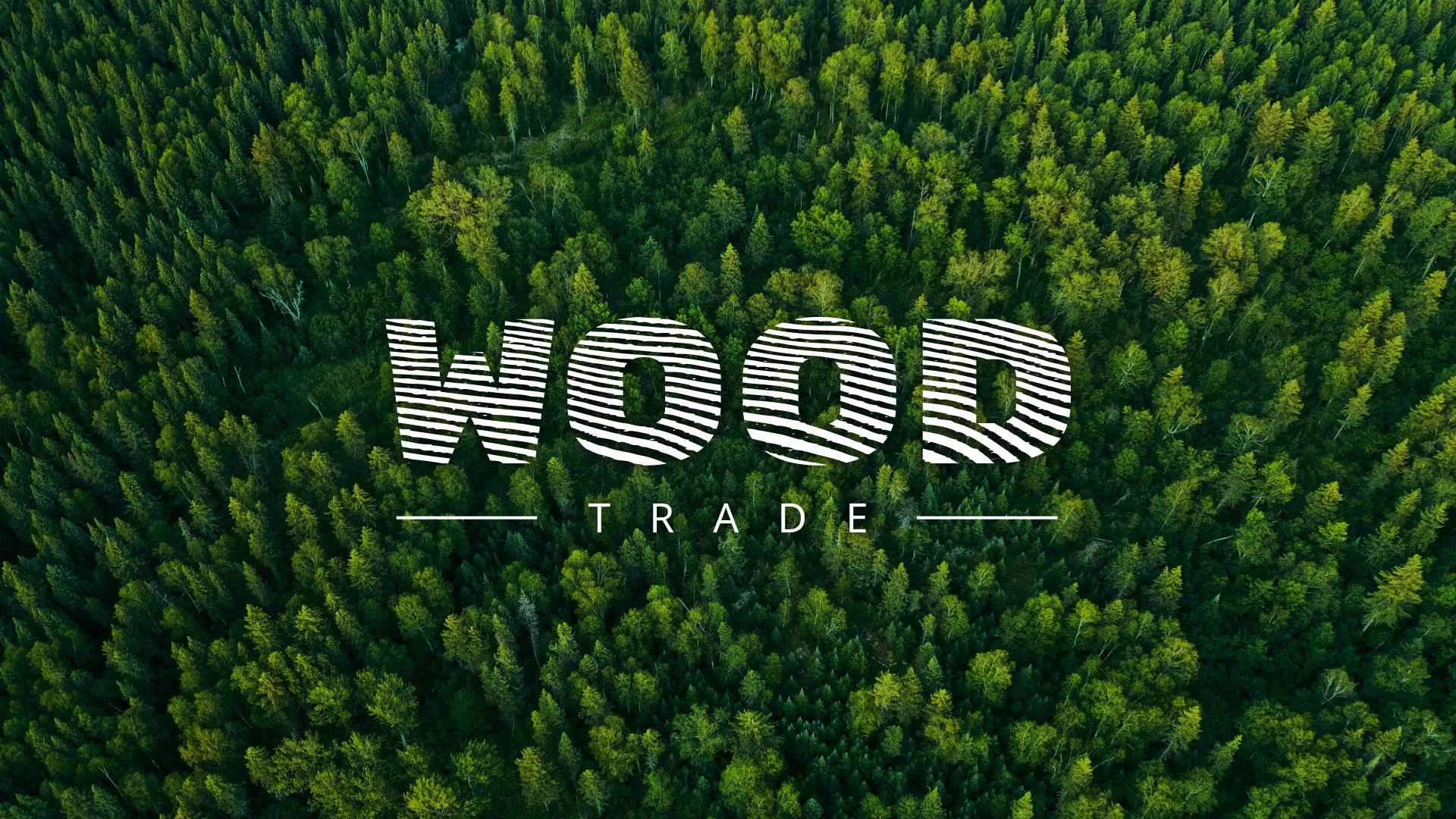 Разработка интернет-магазина компании «Wood Trade» в Чадане