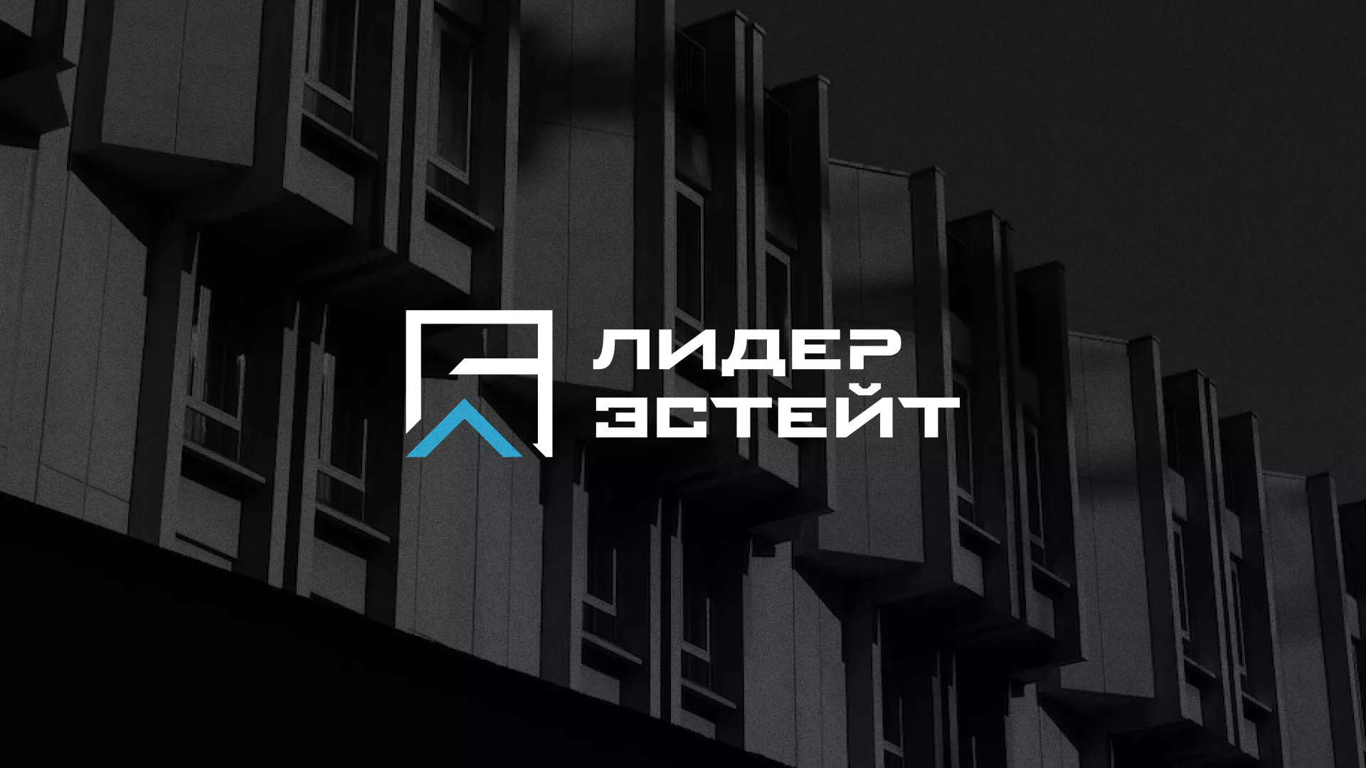 Разработка логотипа агентства недвижимости «Лидер Эстейт» в Чадане
